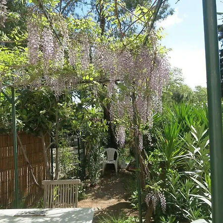 Les Lys 3* ラ・セーヌ・シュル・メール